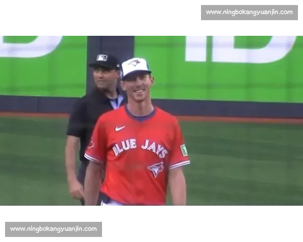 蓝鸟施耐德:MLB 打击姿势的 “模仿大师” 蓝鸟施耐德:MLB 打击姿势的 “模仿大师”