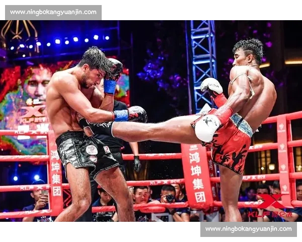 少林功夫对决泰拳铁肘重膝的巅峰武道文化碰撞传奇