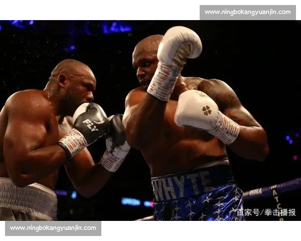 怀特再战切索拉焦点对决揭示重量级拳坛新格局悬念宿命大战全面解析