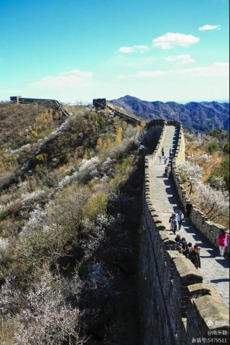 微信图片_2026-10-24_114350_335